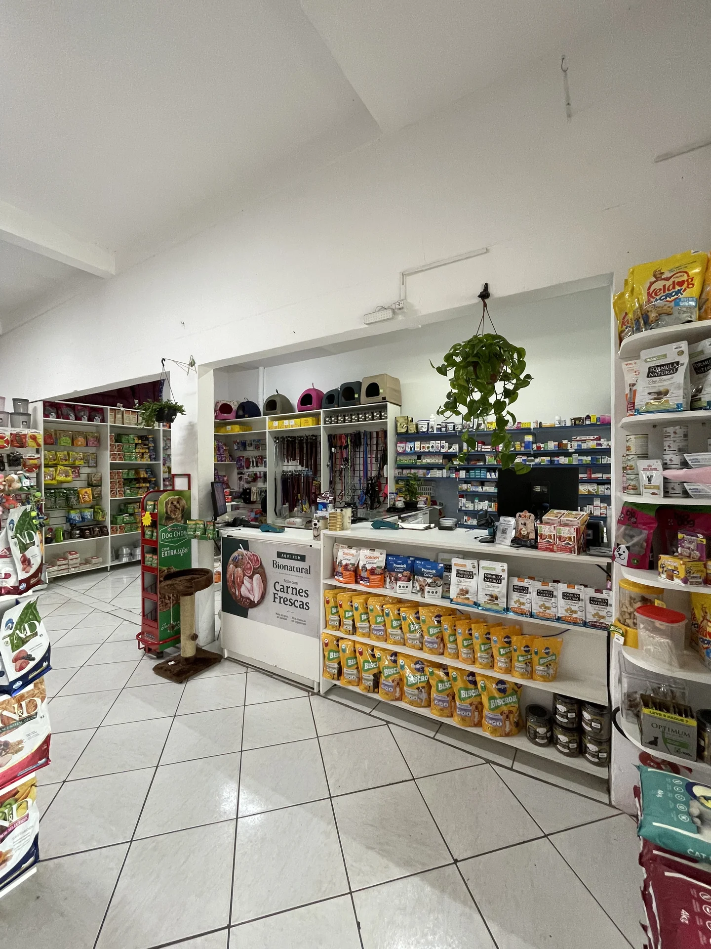 Variedade de produtos e orientação no balcão
